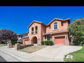 Luxury Mansion House